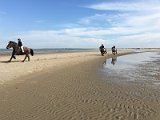 2016-03-05 12-44-57